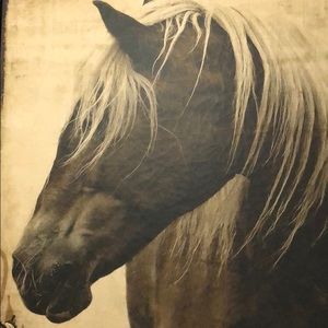 Meet your Posher, Sherry